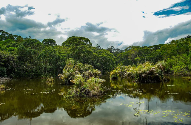  Reserva Maquenque Boca Tapada 